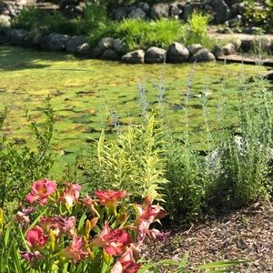 Meet your Posher, Miranda